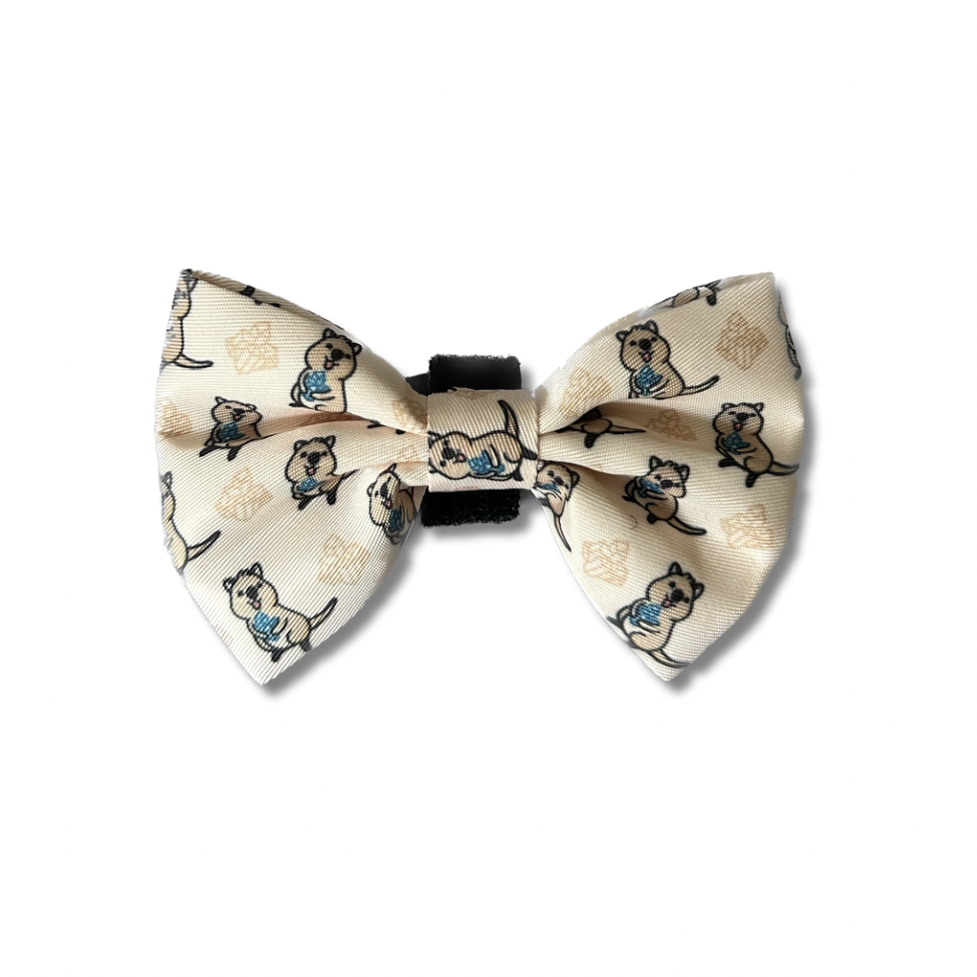 image_0ea01bf6-d498-49e3-a4e8-7e3a040358fc.png