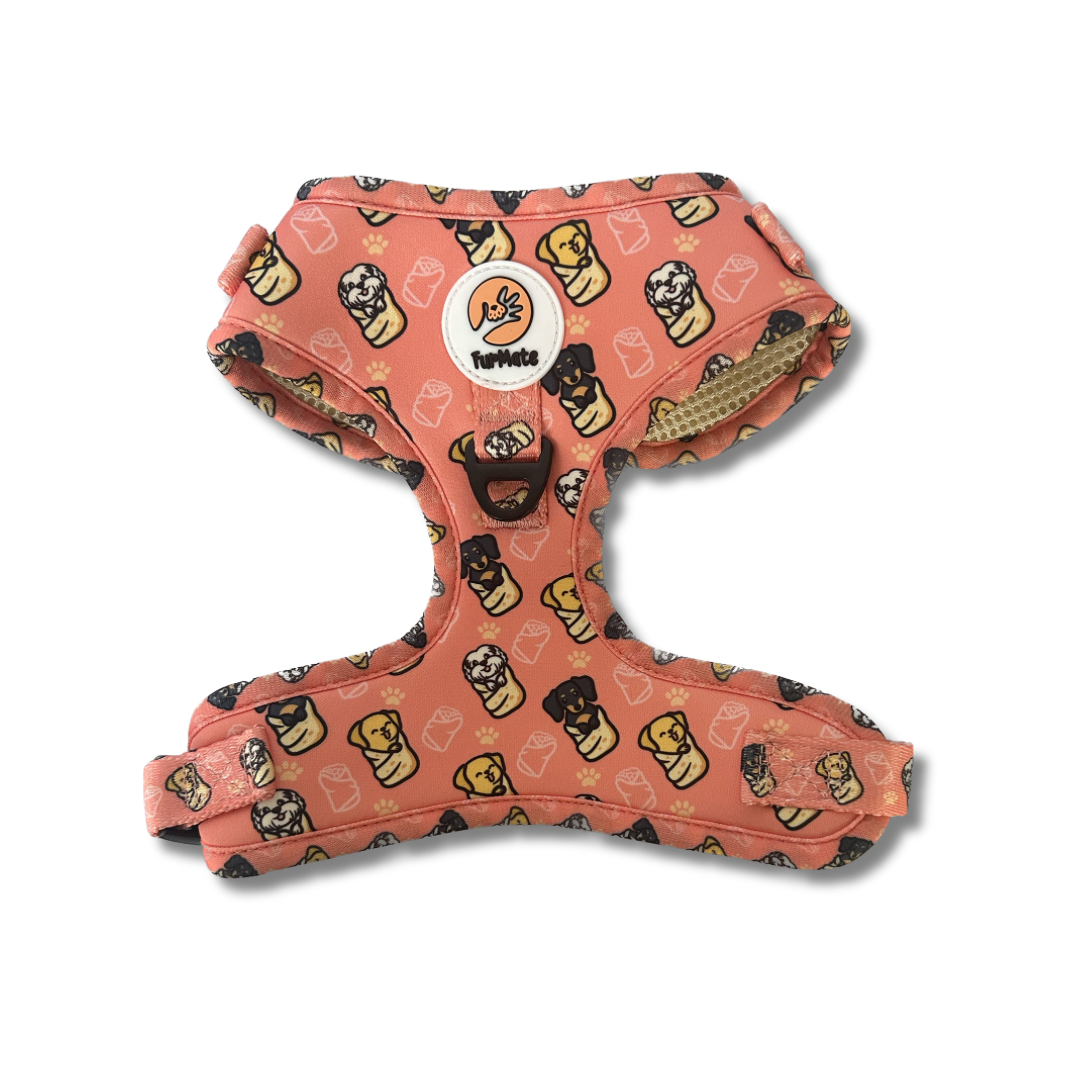 image_68585be8-fe79-4499-8db3-a22e987e3323.png