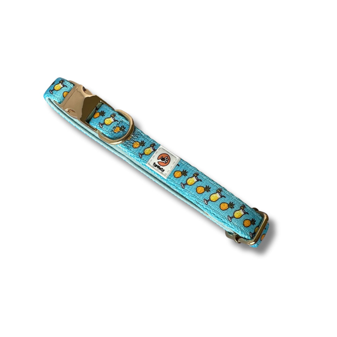 image_e6e00cf5-a00f-4f13-86b6-e64b60243ad5.png