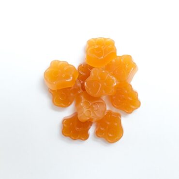 Omega Daily Wellness Bites 130g