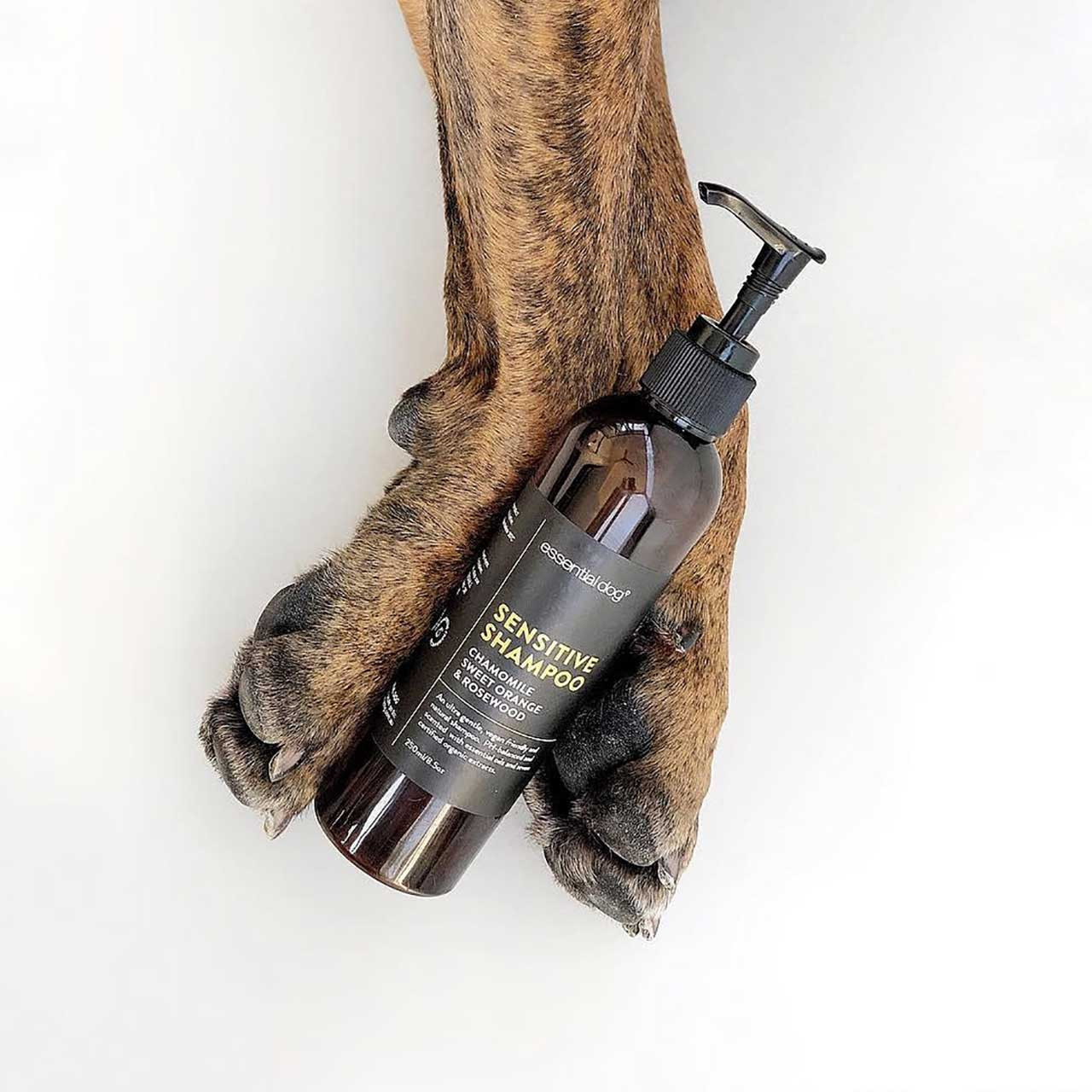 sensitive-dog-shampoo__67582.1630637501.jpg